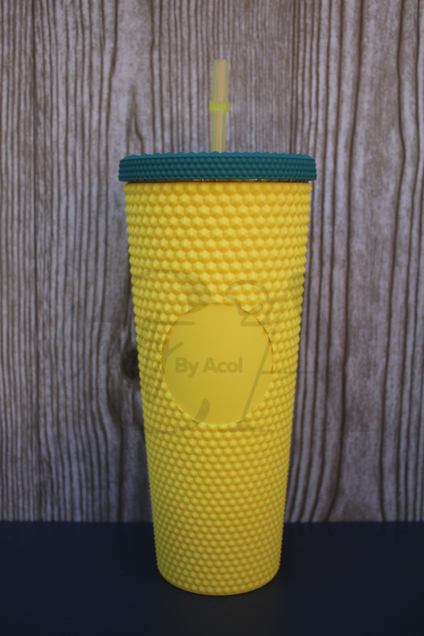 24oz Studded Tumblers (UNBRANDED)