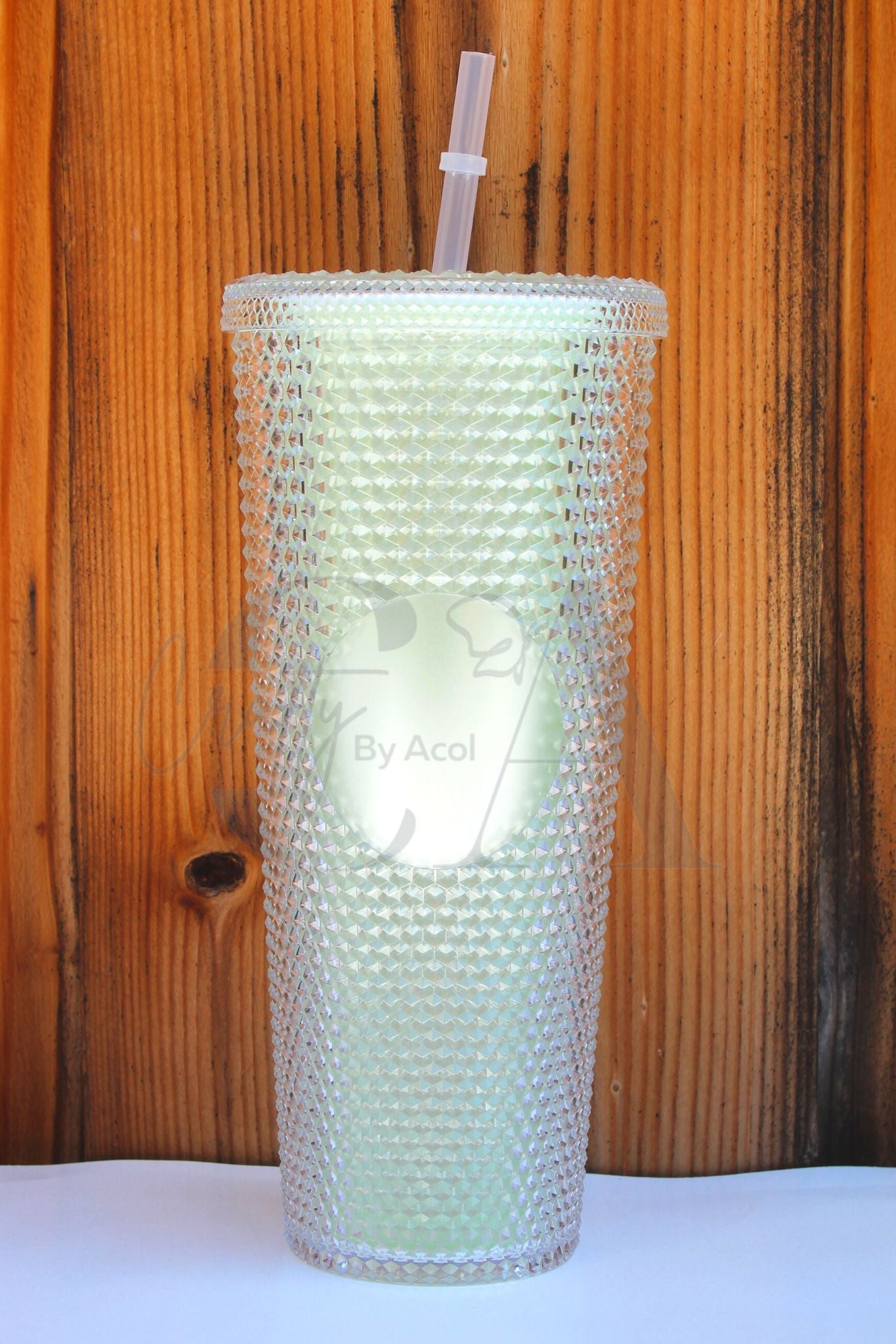 24oz Studded Tumblers (UNBRANDED)