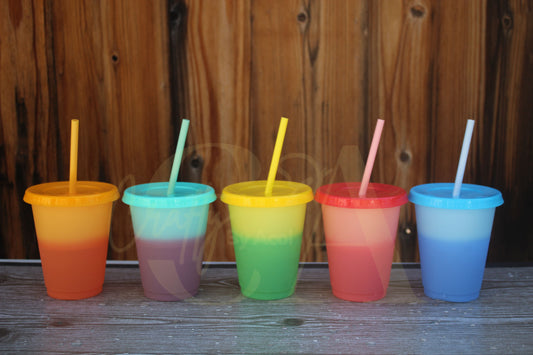 16oz Pastel Paradise